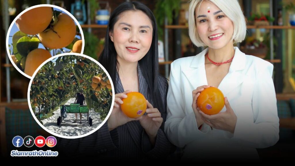 ส้ม