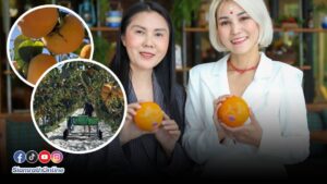 ส้ม