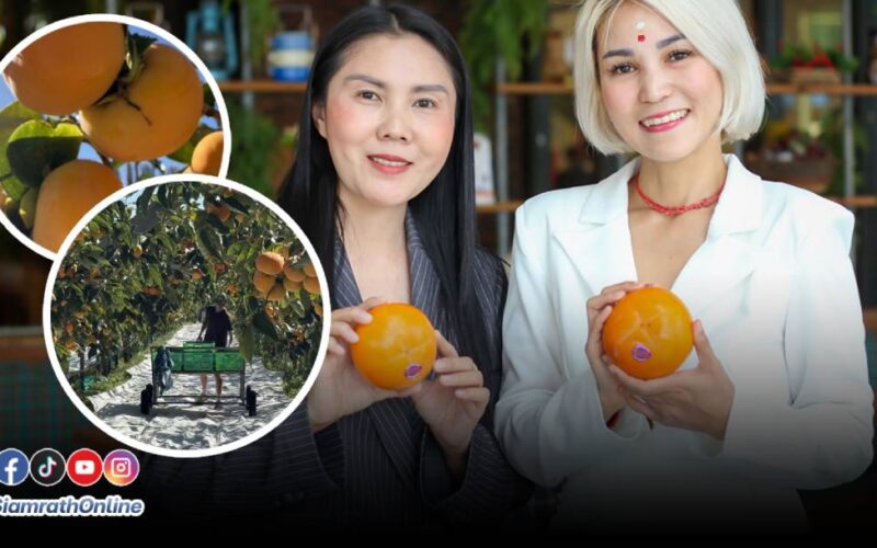 ส้ม