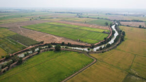 A01
