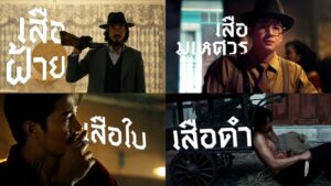 ตัวอย่างสุดท้ายเสือ
