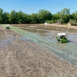 กรมชลฯ ยันน้ำฤดูแล้งเพียงพอ อ่างใหญ่–กลางทั่วประเทศมีน้ำ 87% เดินหน้าส่งน้ำตามแผน